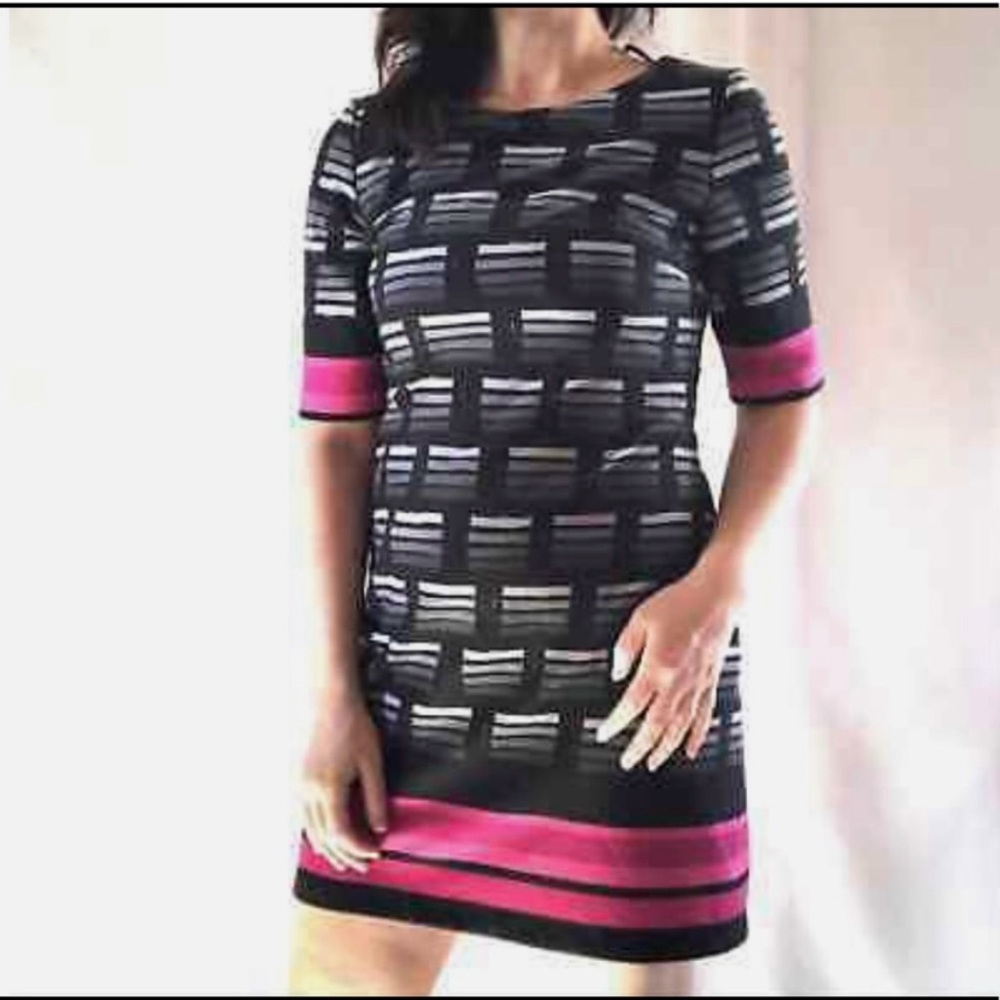 Eliza J Black and Pink Short Sleeve Shift Dress